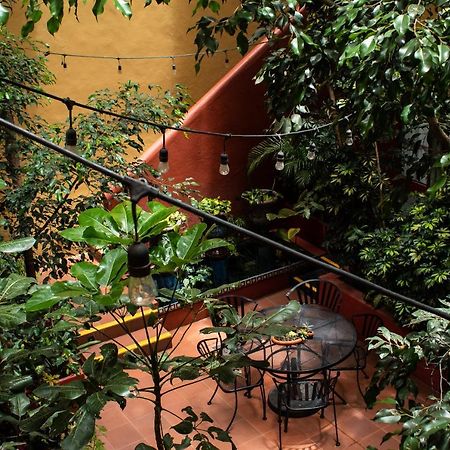 The Red Tree House Bed & Breakfast Mexico City Exterior photo