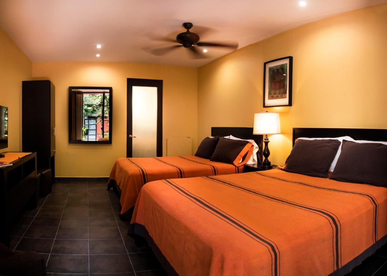 The Red Tree House Bed & Breakfast Mexico City Room photo